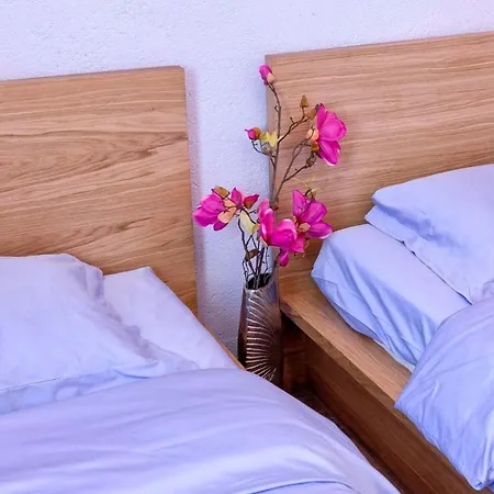 Astounding Hvar 4 Bedrooms Crystal Hvar 1 Mesmerizing Sea View 赫瓦尔